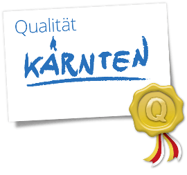 qsm logo
